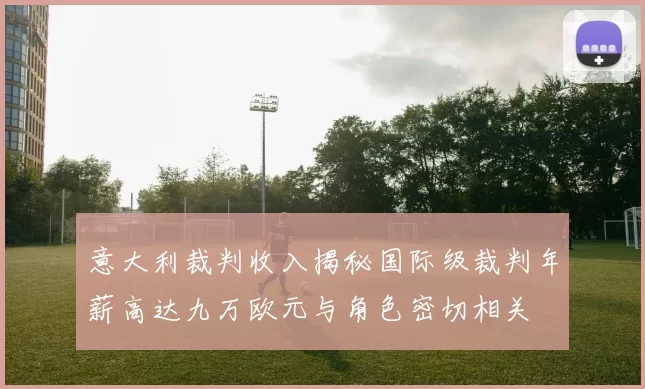 意大利裁判收入揭秘国际级裁判年薪高达九万欧元与角色密切相关